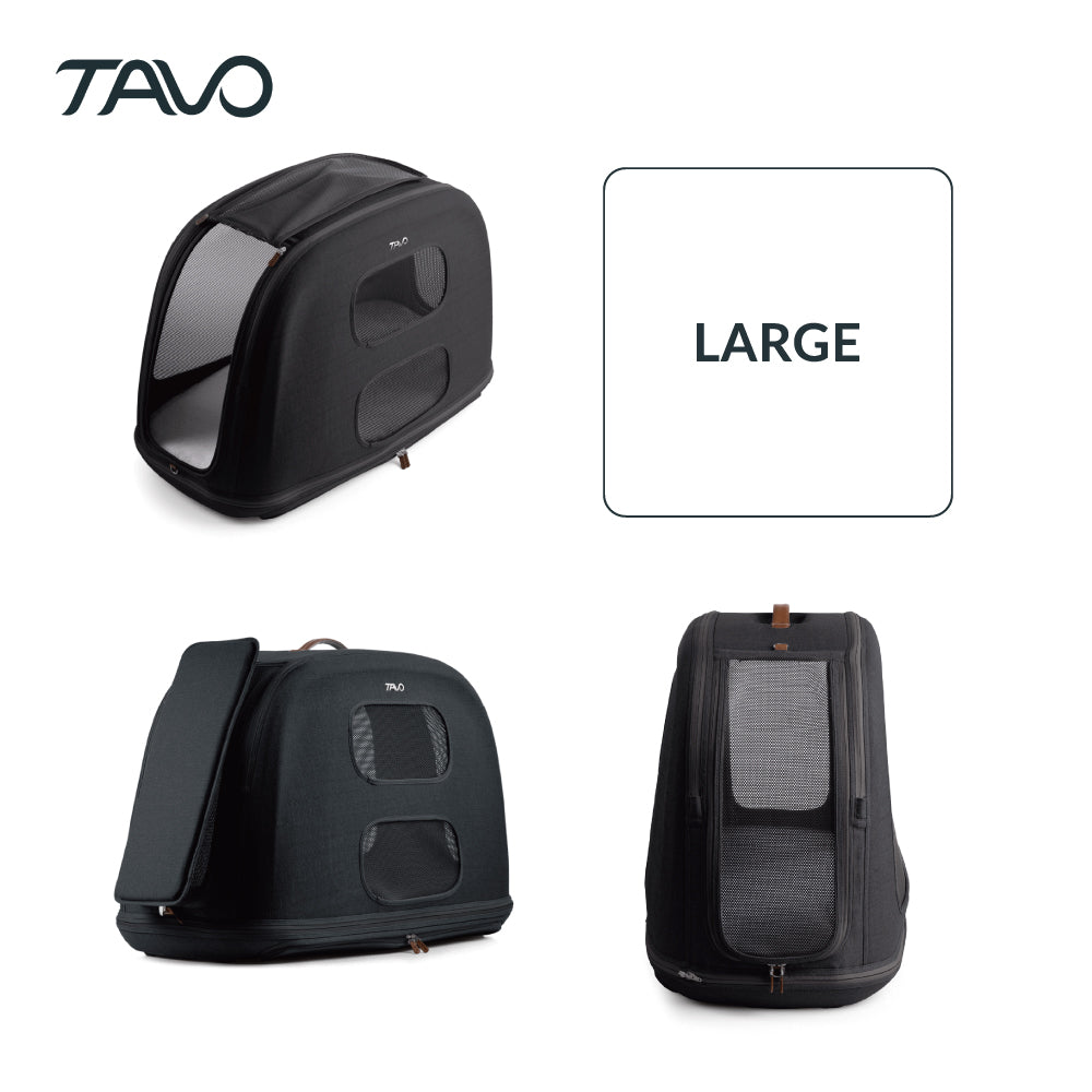 トラベルクレート 車内固定可 安全 Crispin TAVO