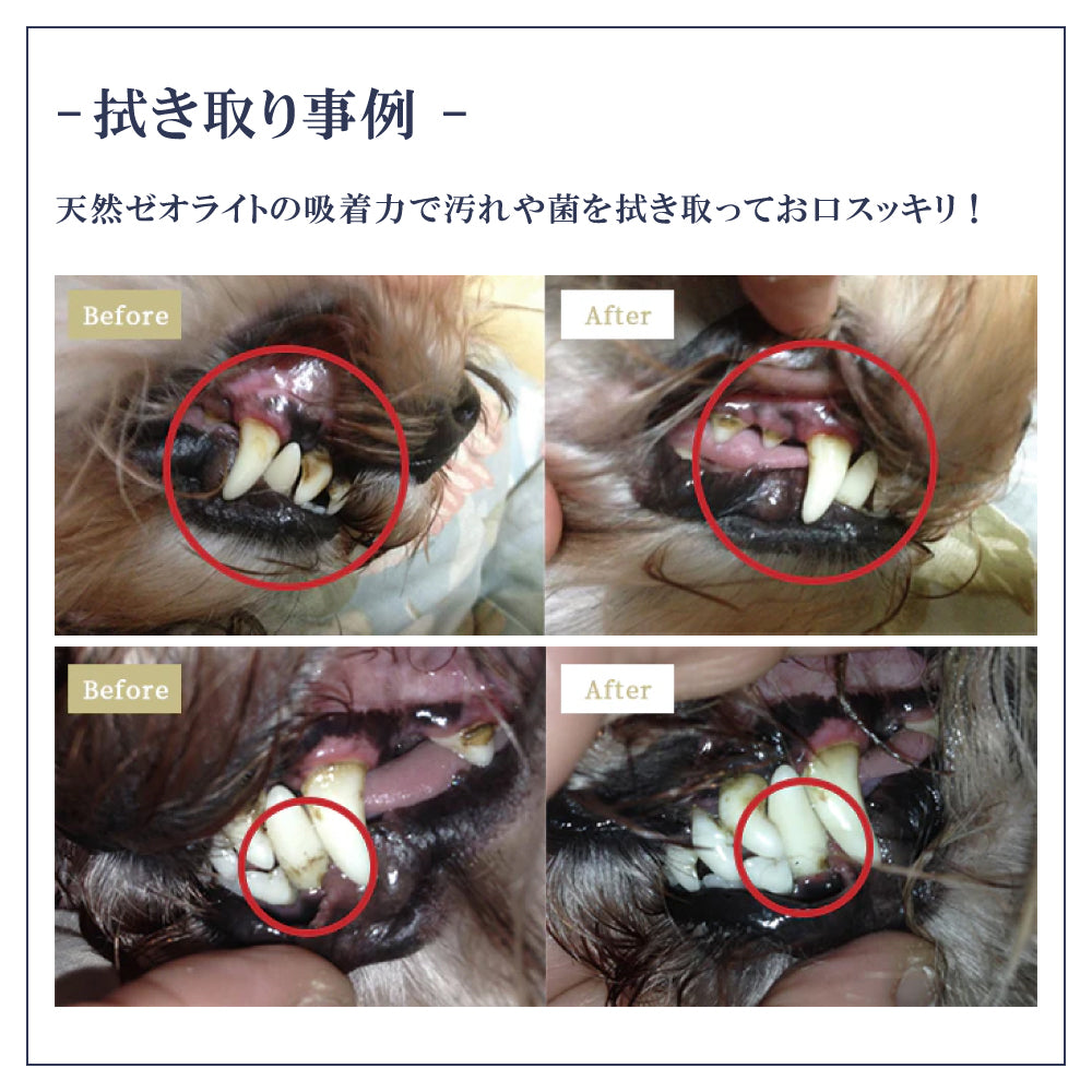 ペット用 オーラルケア 歯磨きスプレー 犬 口腔ケア  無添加 50ml 日本製 Pet-Cool