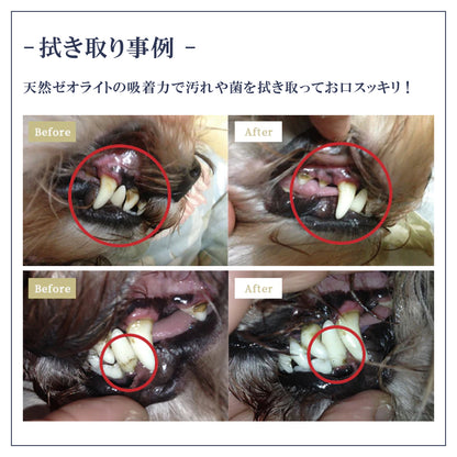 ペット用 オーラルケア 歯磨きスプレー 犬 口腔ケア  無添加 50ml 日本製 Pet-Cool