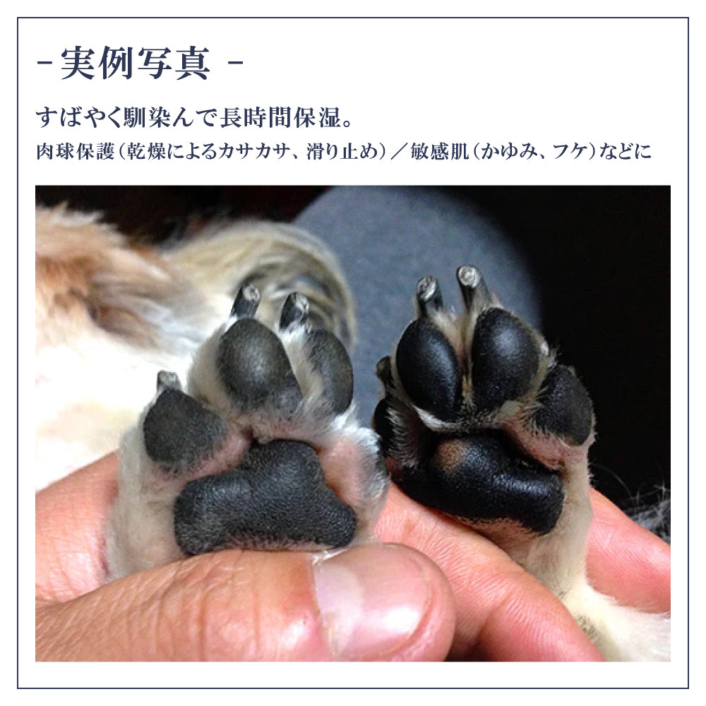 ペット用 オーガニック 肉球クリーム 保湿 乾燥 無添加 20g 日本製 Pet-Cool