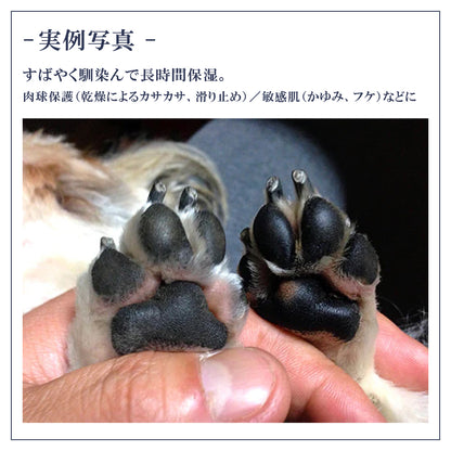 ペット用 オーガニック 肉球クリーム 保湿 乾燥 無添加 20g 日本製 Pet-Cool