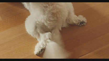 ペットカート 3in1 分離型 車載 Maeve Roscoe TAVO