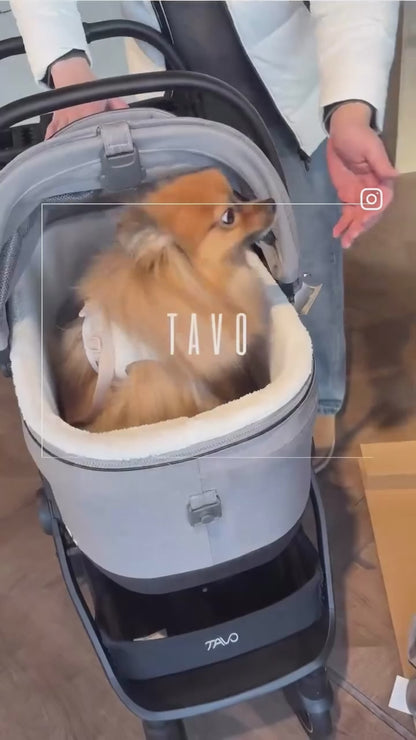 Maeve用 カートフレーム Roscoe TAVO