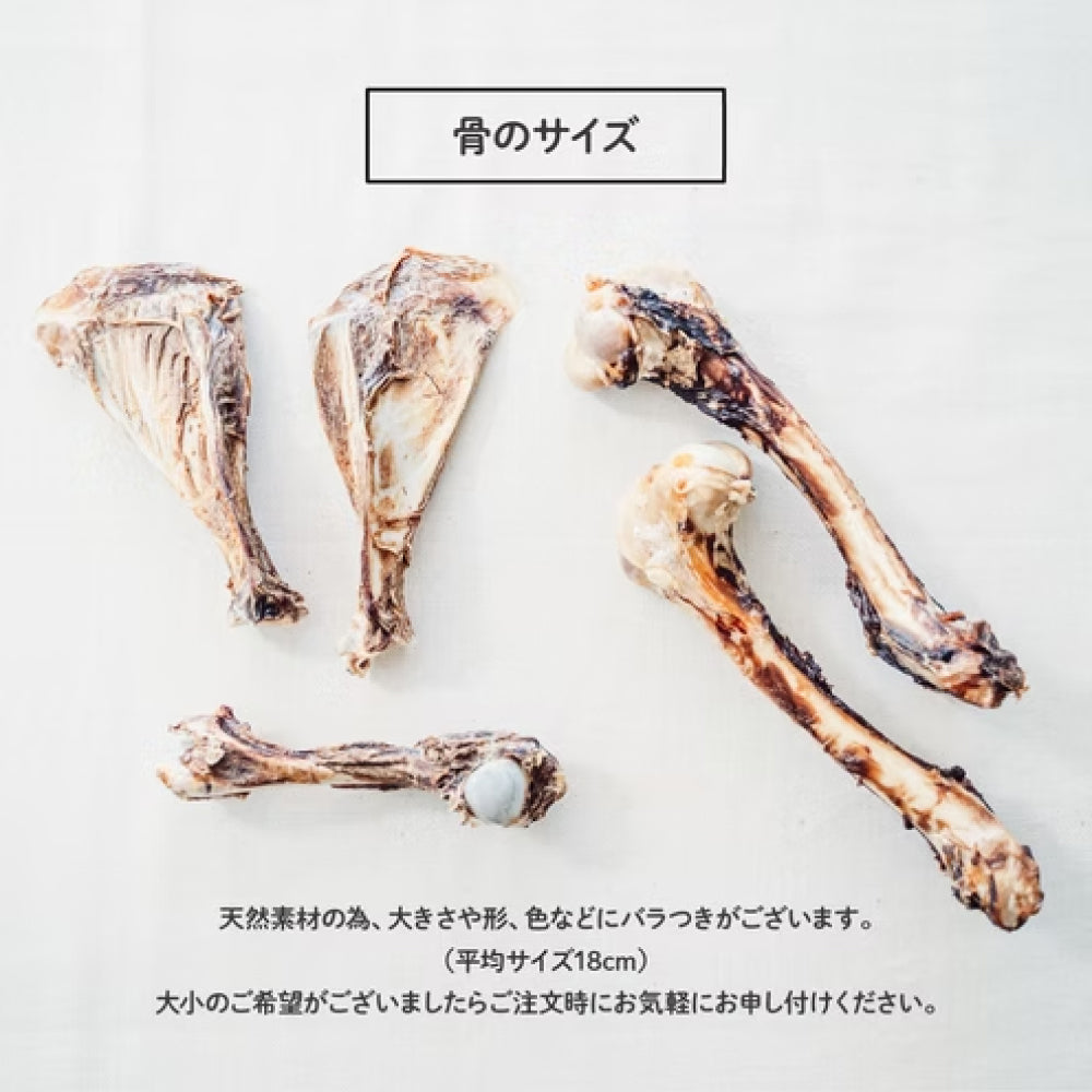 犬用 天然鹿肉 レッグボーン ハーフサイズ 無添加 低アレルゲン おやつ ジビエ 国産 RE-SOCIAL