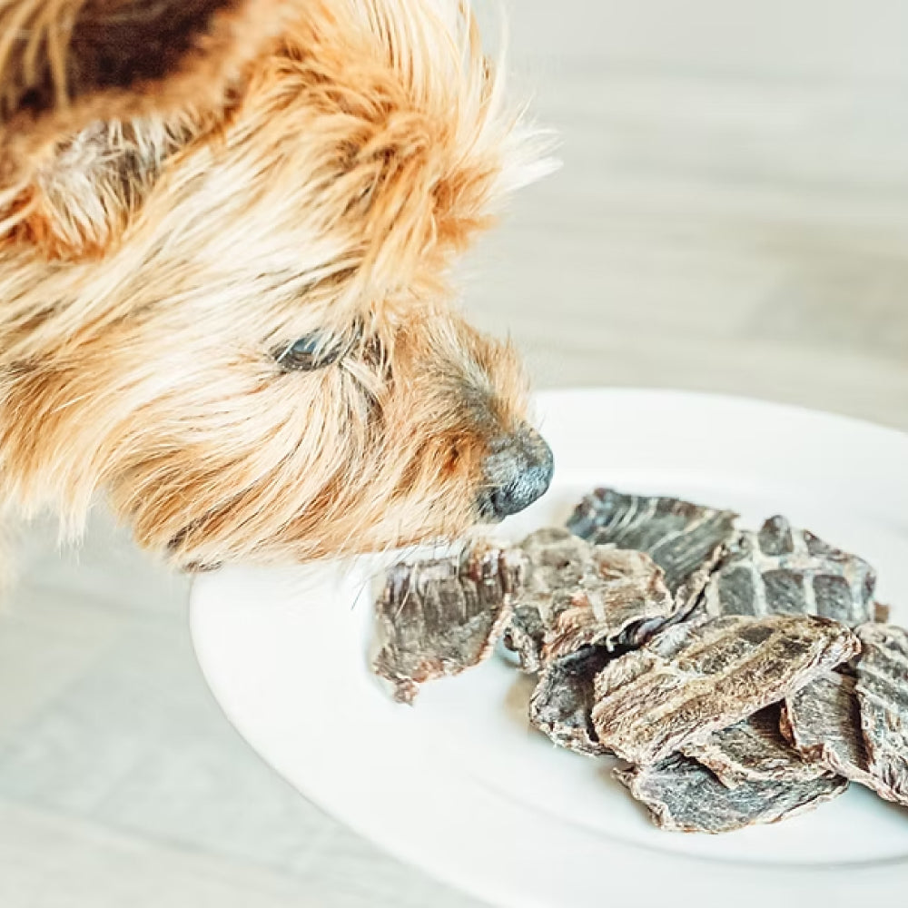 犬用 天然鹿肉 ジャーキー 25g 無添加 低アレルゲン おやつ ジビエ