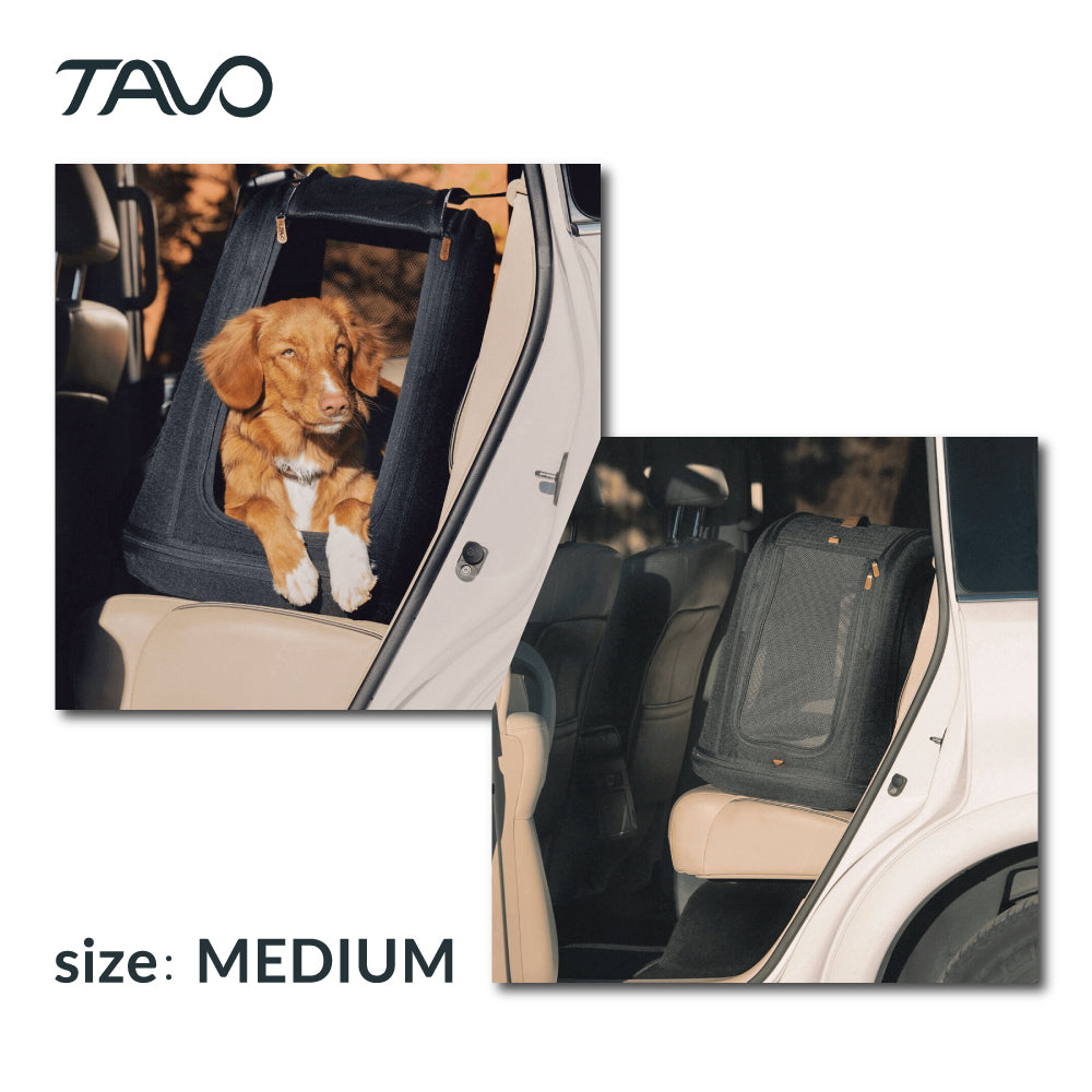 トラベルクレート 車内固定可 安全 Crispin TAVO