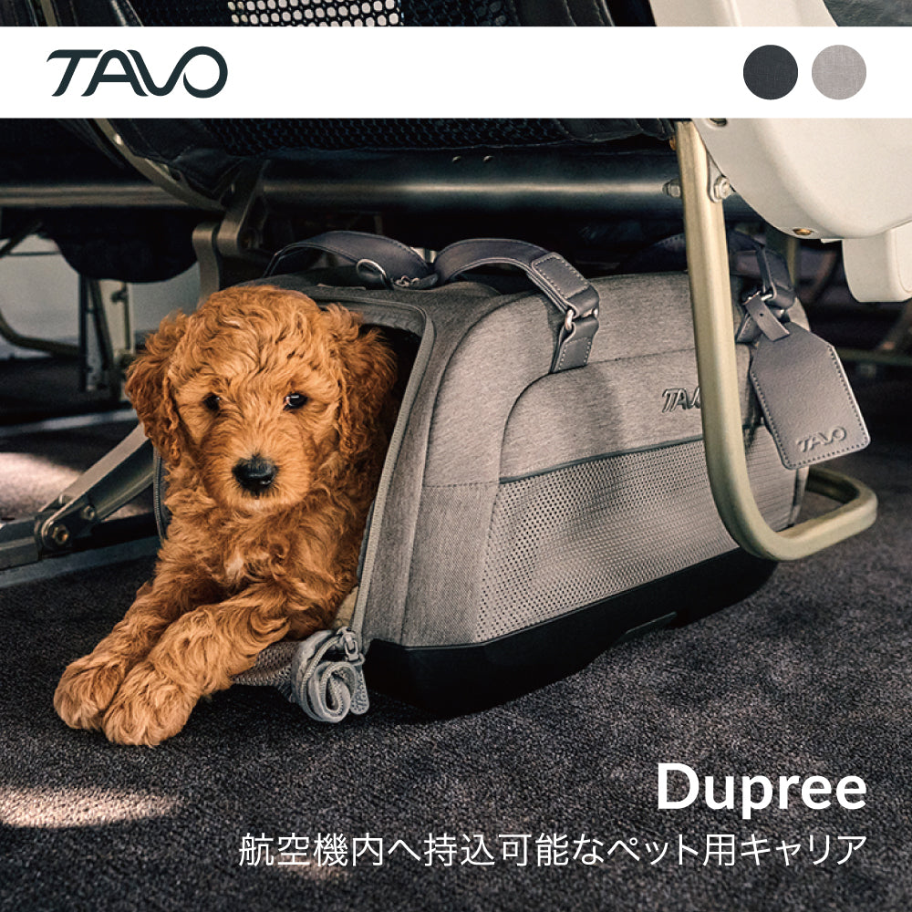 トラベルクレート 航空会社準拠 機内持ち込みサイズ 車内固定可 安全 Dupree TAVO