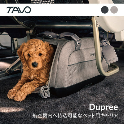 トラベルクレート 航空会社準拠 機内持ち込みサイズ 車内固定可 安全 Dupree TAVO
