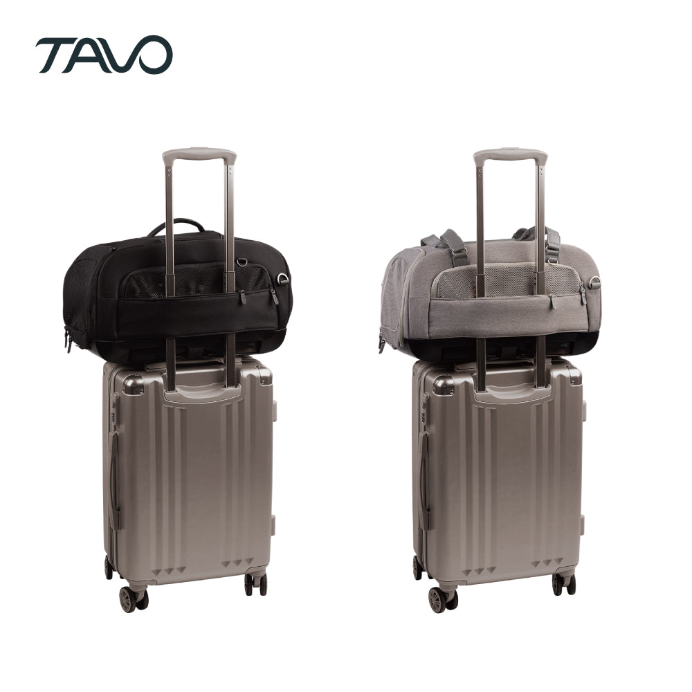 トラベルクレート 航空会社準拠 機内持ち込みサイズ 車内固定可 安全 Dupree TAVO